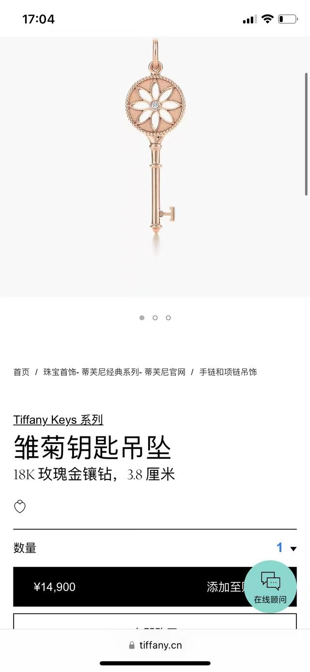 Tiffany & Co.蒂芙尼 雏菊18K玫瑰金钥匙项链 Tiffany 蒂芙尼 雏菊钥匙项链 18k玫瑰金镶钻 精致百搭 专柜在售14900📦现货便宜带走小几K得