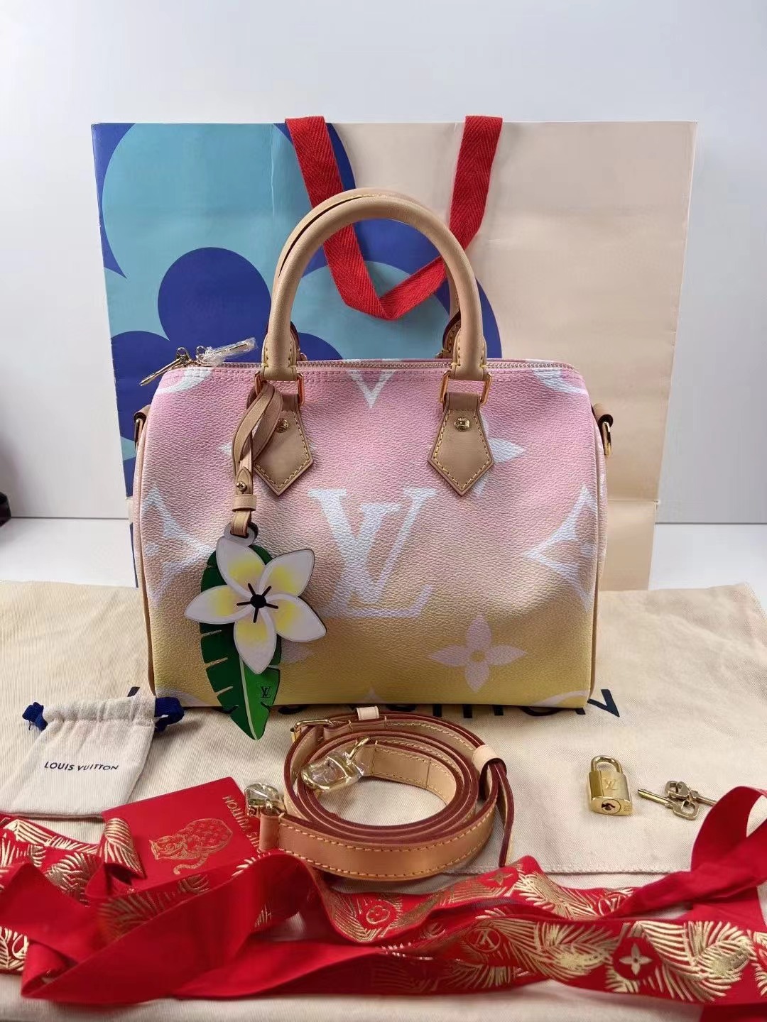 Louis Vuitton 路易威登 全新芯片款渐变sp 25