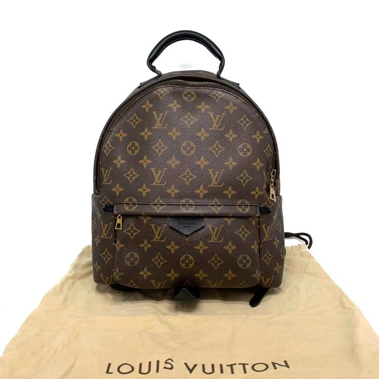 Louis Vuitton 路易威登 老花双肩中号背包
