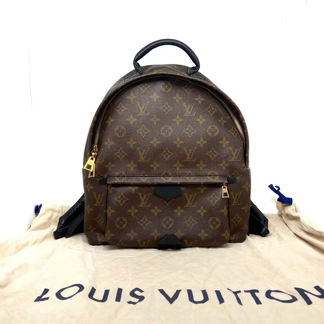 Louis Vuitton 路易威登 老花双肩包爆款中号