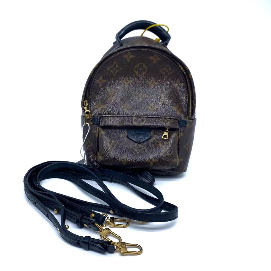 Louis Vuitton 路易威登 经典老花Palm Spring双肩包mini小书包